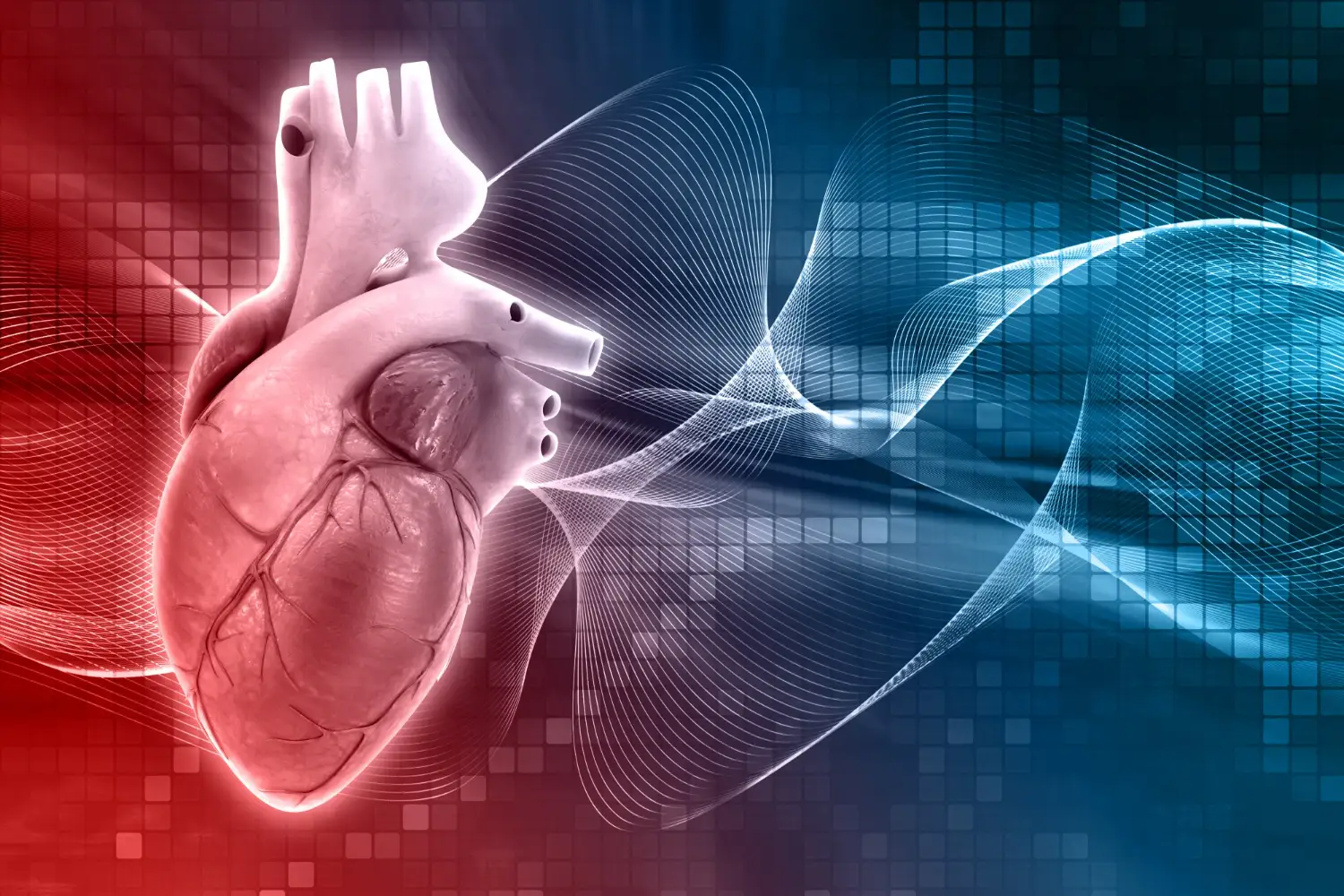 Cardiologia